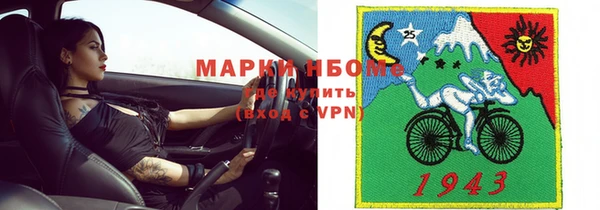 стаф Каменногорск