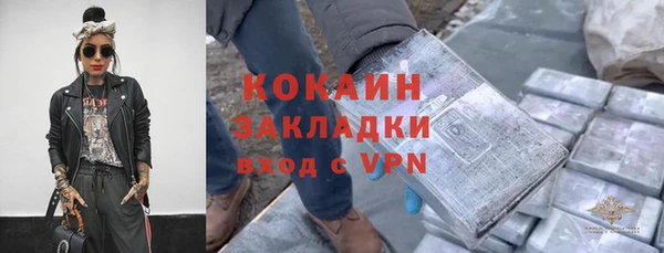 стаф Каменногорск