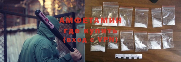 стаф Каменногорск