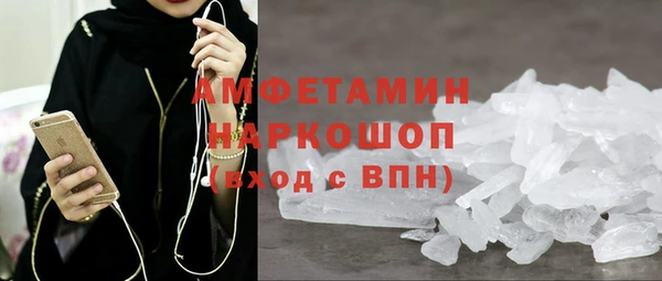 стаф Каменногорск