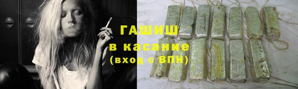 стаф Каменногорск