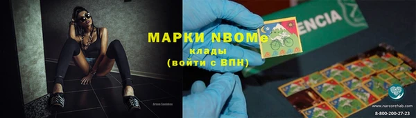 стаф Каменногорск