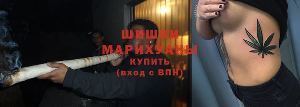 стаф Каменногорск