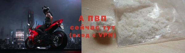 спиды Каменск-Шахтинский