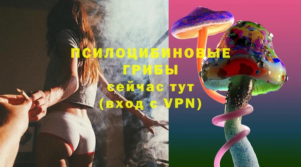 спиды Каменск-Шахтинский