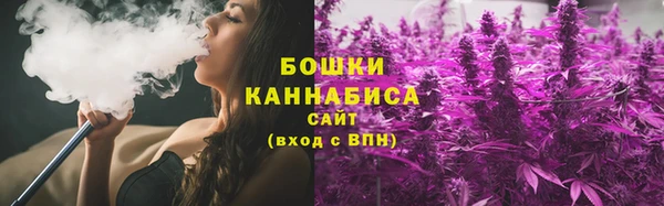 дурь Каменка