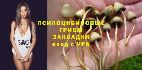 стаф Каменногорск