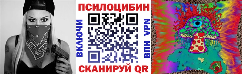 Купить закладки  Нарткала  Псилоцибиновые грибы прущие грибы 